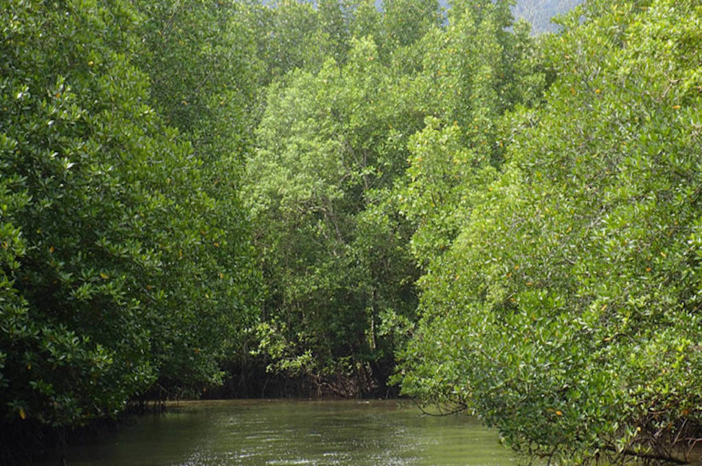 Langkawi 2