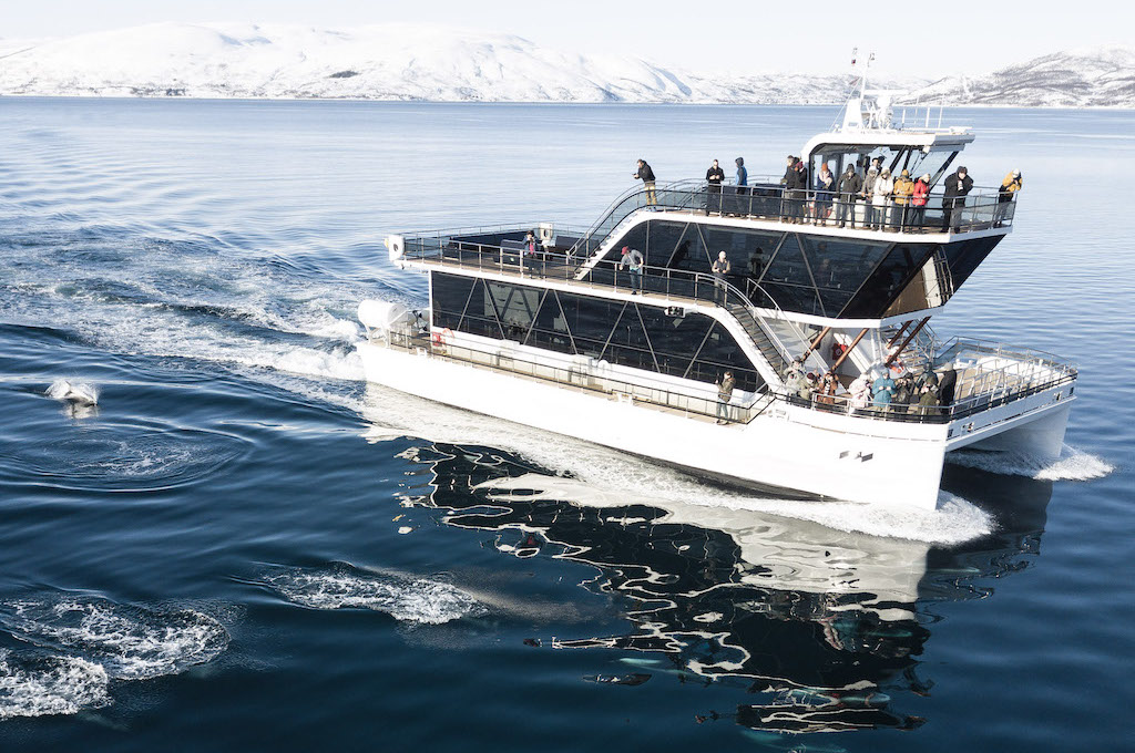 Fjord- und Wildtierkreuzfahrt