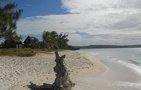 Glanz in Wasser Treibholz am Sandstrand des Smaragd-Meers