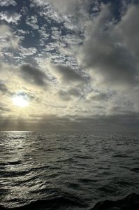 Dolphin Katamarantour & Sandwich Harbour