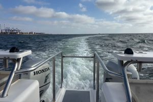 Dolphin Katamarantour & Sandwich Harbour