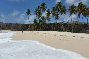 Große Inseltour Barbados