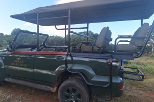 Safari im Amakhala & Schotia