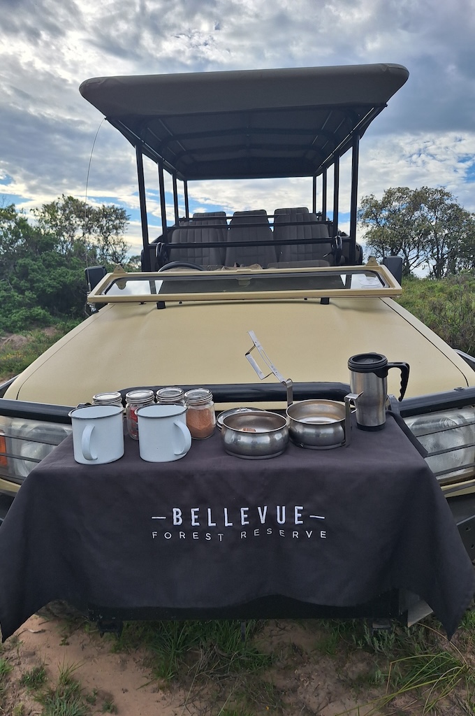 Safari Bellevue Safari im privaten Big 5 Reservat Bellevue