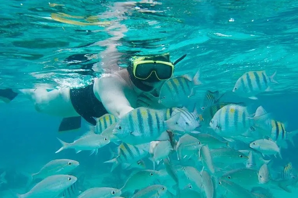 fische bei schnorcheln Zwei-Stopp-Singray-Schnorcheltour