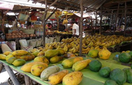 Gemüse und Obstmarkt Papayas und Bananen an einem Marktstand in Toamasina
