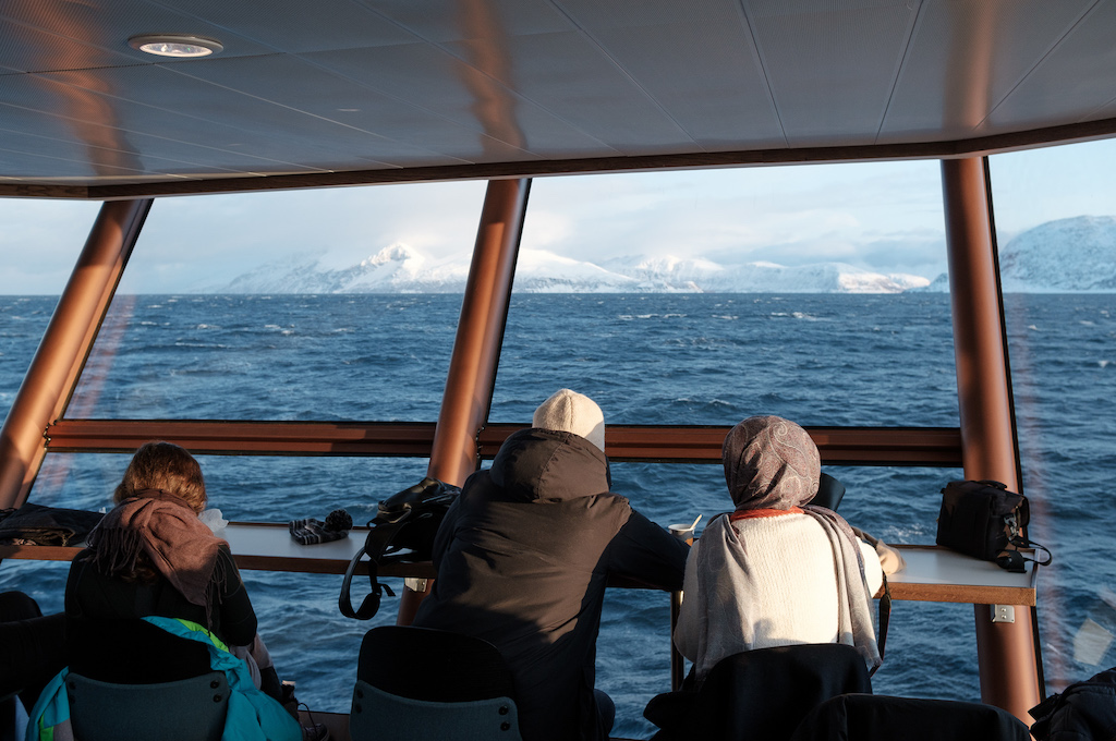 Fjord- und Wildtierkreuzfahrt