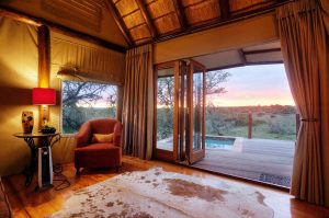 Amakhala Reserve mit Übernachtung