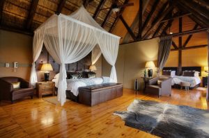 Amakhala Reserve mit Übernachtung