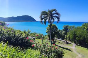Entdeckungstour in Guadeloupe