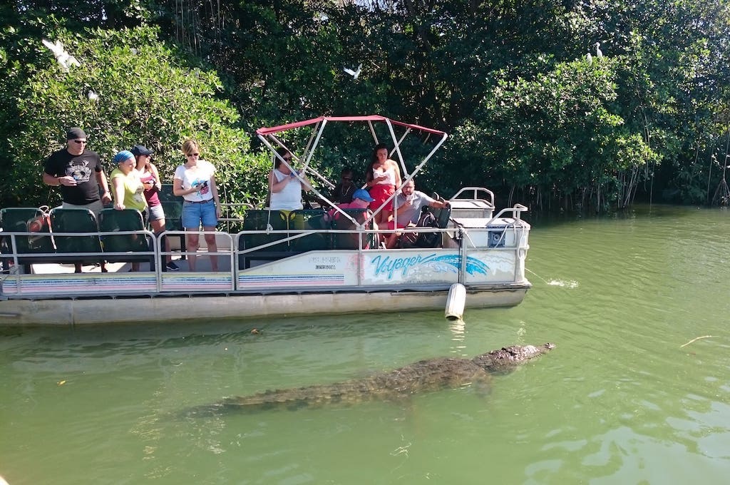 Black River Krokodilsafari