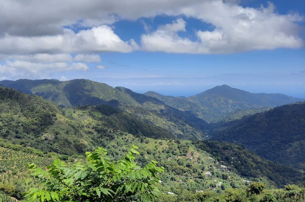 Blue Mountains 2