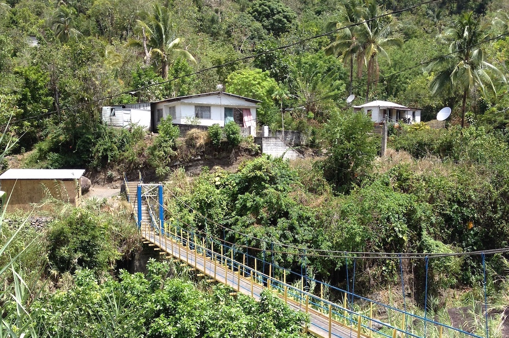 Blue Mountain Panorama Tour