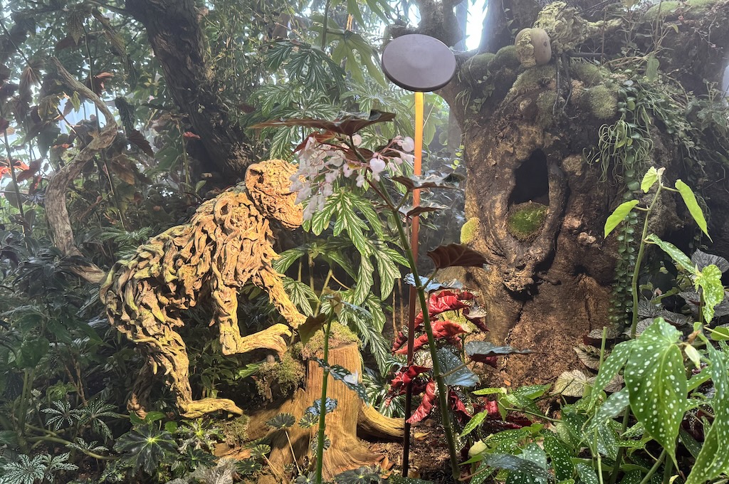 Botanische Grten 4 Bepflanzung im Flower Dome der Gardens by the Bay