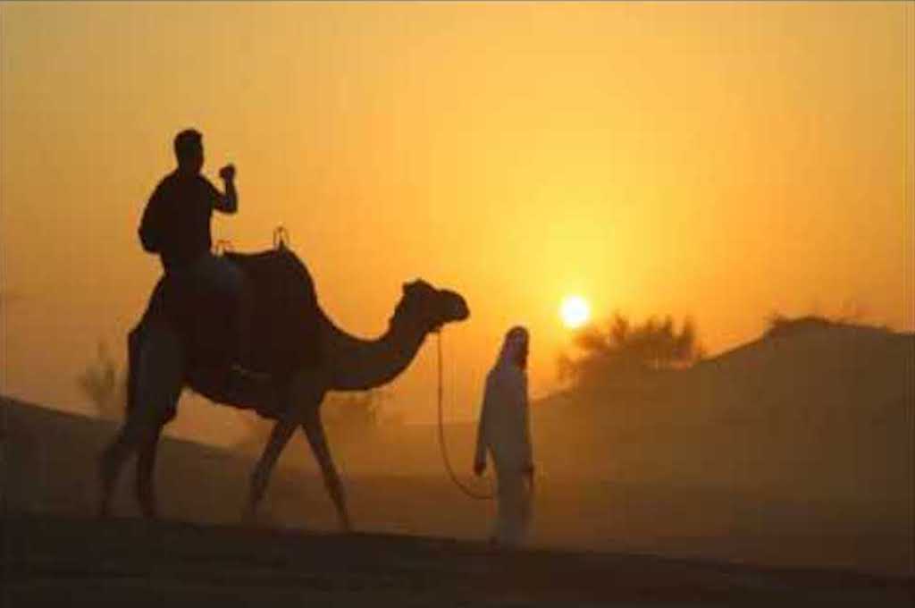 Camel-caravan Kamelsafari