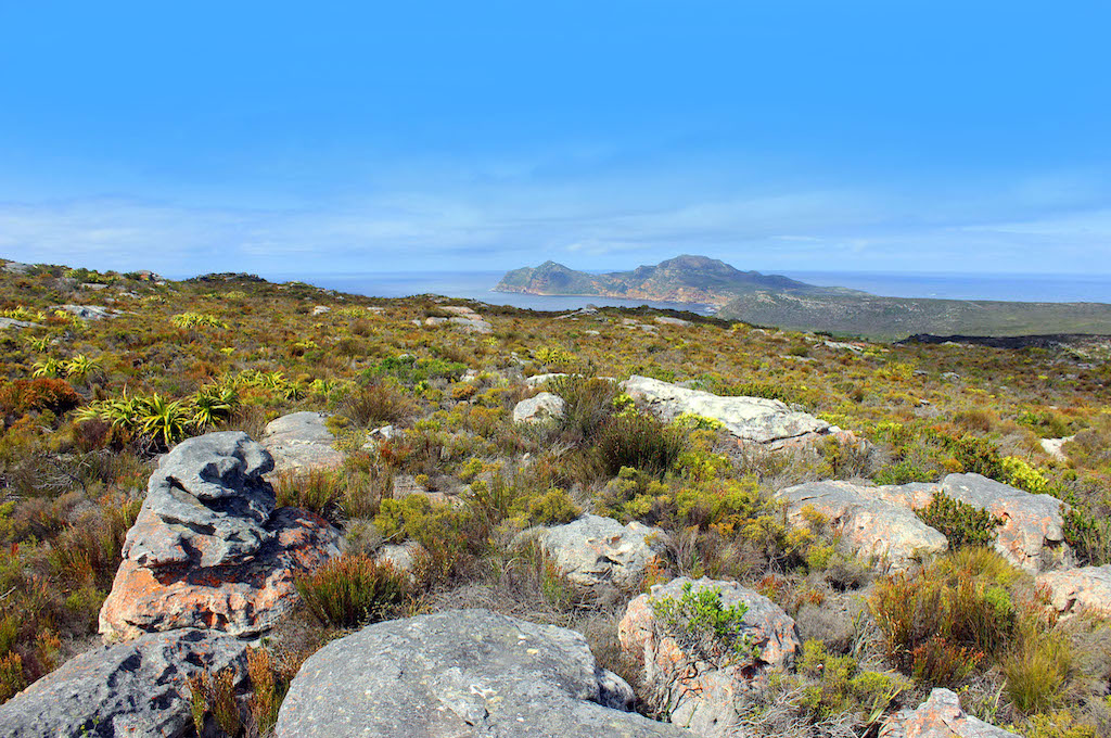 Ausblick von weit Cape Point und Felsbrocken
