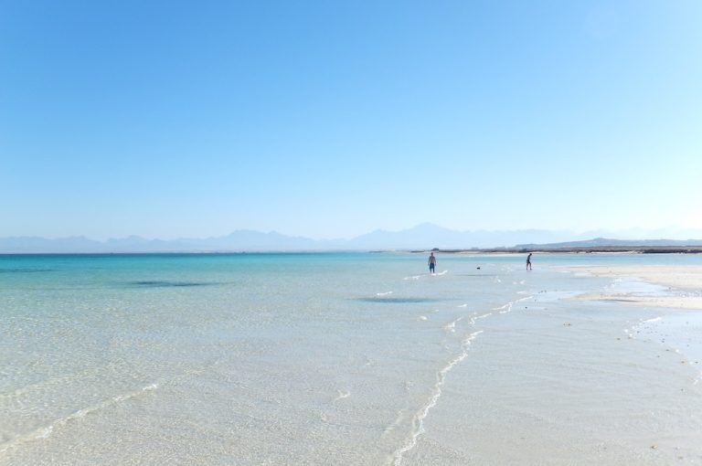 Coral reef snorkelling on the Red Sea