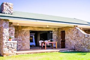 Safari im Amakhala & Schotia