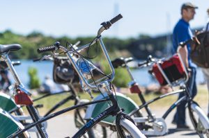 Die grünen Schätze von Djurgarden