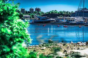 Die grünen Schätze von Djurgarden