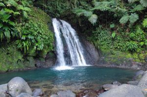 Entdeckungstour in Guadeloupe