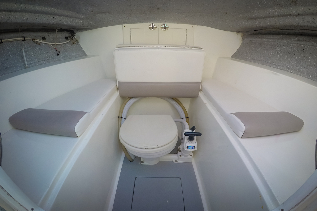 Toilette Fivres 33