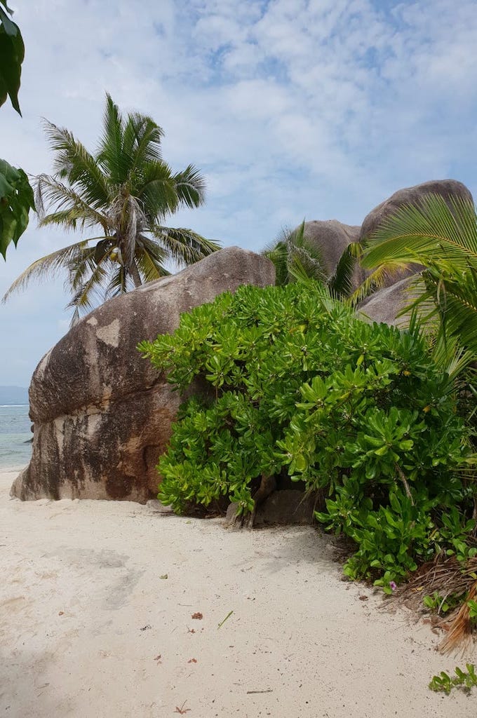 Seychellen Praslin & La Digue