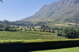 Tafelberg, Kapstadt & Weingut Groot Constantia
