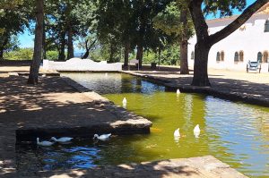 Tafelberg, Kapstadt & Weingut Groot Constantia