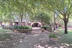 Tafelberg, Kapstadt & Weingut Groot Constantia