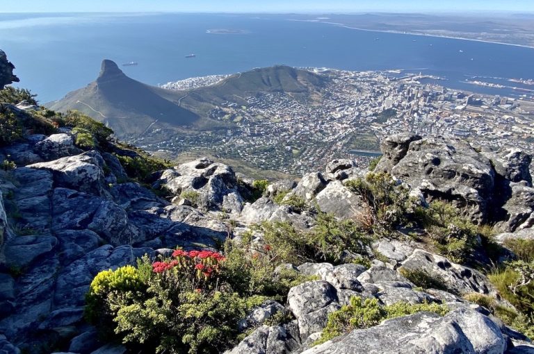 VIP highlights tour along the Cape Peninsula