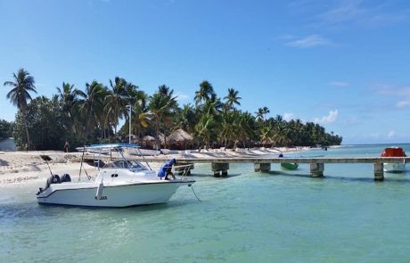 steck Motorboot am Steg vor der palmengesäumten Küste