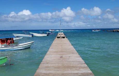 Saona Holzsteg mit Ausflugsbooten am türkisen Wasser