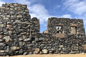 Inselrundfahrt mit dem Bus