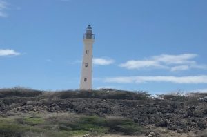 Inselrundfahrt mit dem Bus