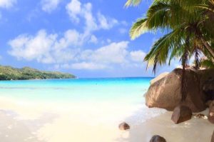 Seychellen- Praslin & La Digue