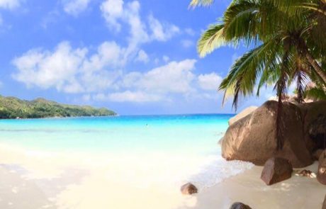 weiße Strände von Seychellen Türkisfarbene Bucht mit Palme und Granitfelsen auf Praslin