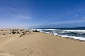 Dolphin Katamarantour & Sandwich Harbour
