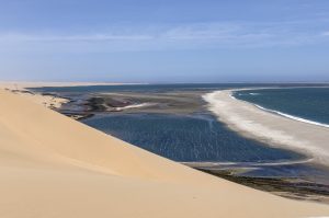 Dolphin Katamarantour & Sandwich Harbour