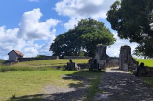 Entdeckungstour in Guadeloupe