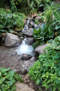 Tropischer Süden von Basse-Terre