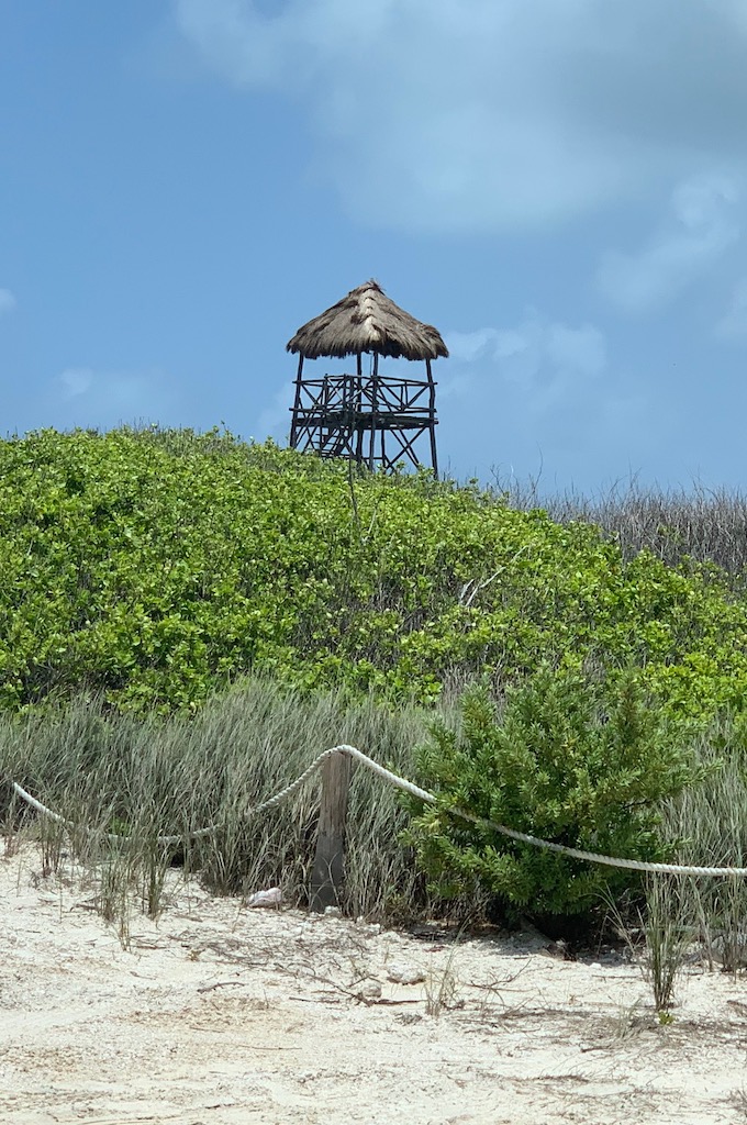 Fahrt durch den Park Mangroven und Strand Tour