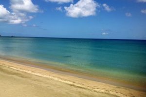 Beach auf Tobago Inselrundfahrt mit Strandaufenthalt