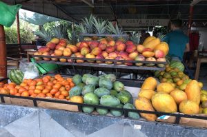 Obstladen Costa Rica
