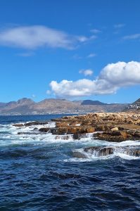 Kalk Bay, Küstenpanoramen und Sonnenuntergang in Camps Bay