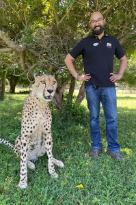 Wildkatzen-Rehabilitationszentrum