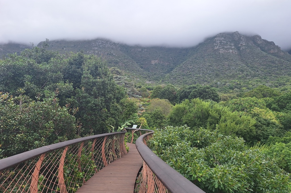 Kirstenbosch Botanischer Garten Kirstenbosch & Chapman’s Peak Drive Tour