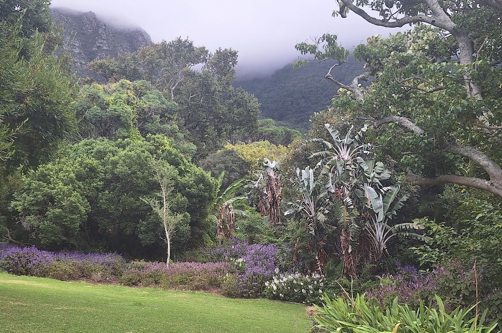 Kirstenbosch Botanischer Garten Kirstenbosch & Chapman’s Peak Drive Tour