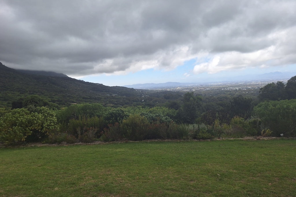 Kirstenbosch Botanischer Garten Kirstenbosch & Chapman’s Peak Drive Tour