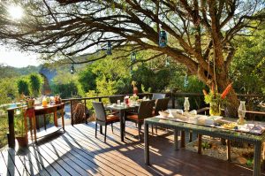 Sibuya Big 5 Safari mit Übernachtung